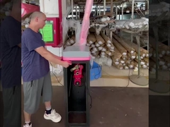 HCW Park Alanı Boom Barrier Kapısı Akıllı Kapı Güvenliği İçin 24v DC fırçasız motor mekanizması